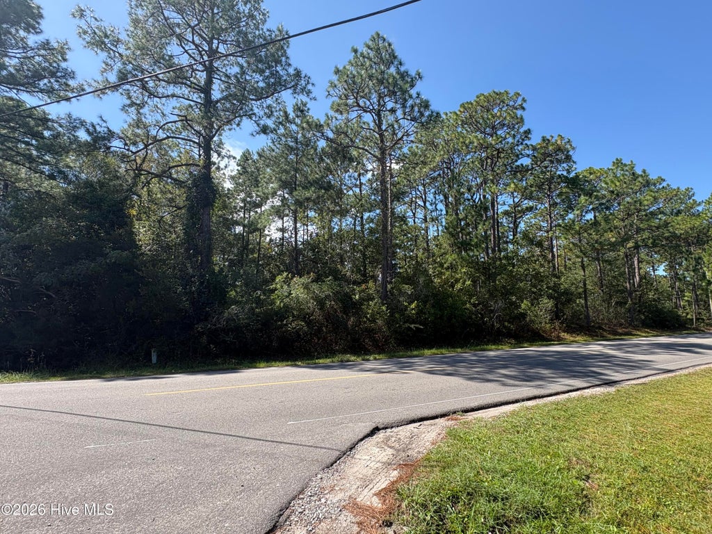 Photo of 8081 Nassau Road, Boiling Spring Lakes, NC 28461 (MLS # 100608936)