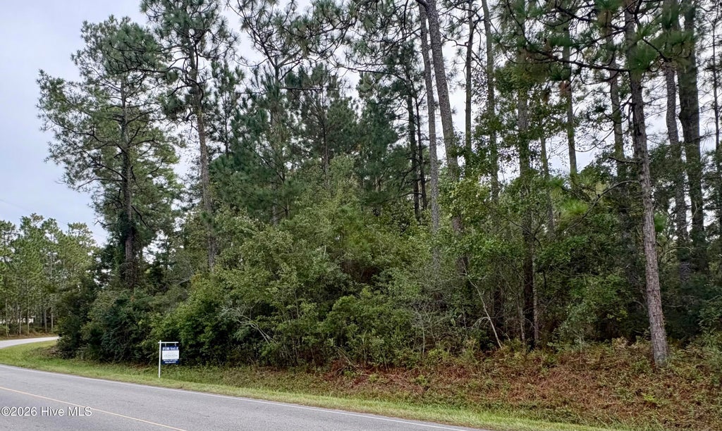 Photo of 8081 Nassau Road, Boiling Spring Lakes, NC 28461 (MLS # 100608936)