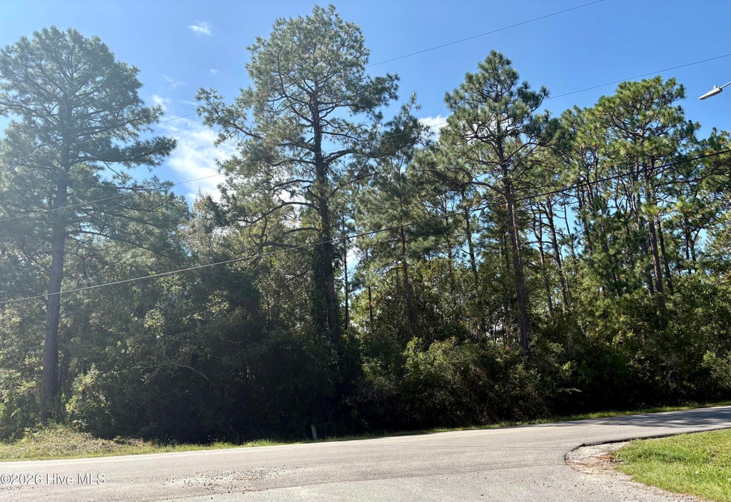 Photo of 8081 Nassau Road, Boiling Spring Lakes, NC 28461 (MLS # 100608936)