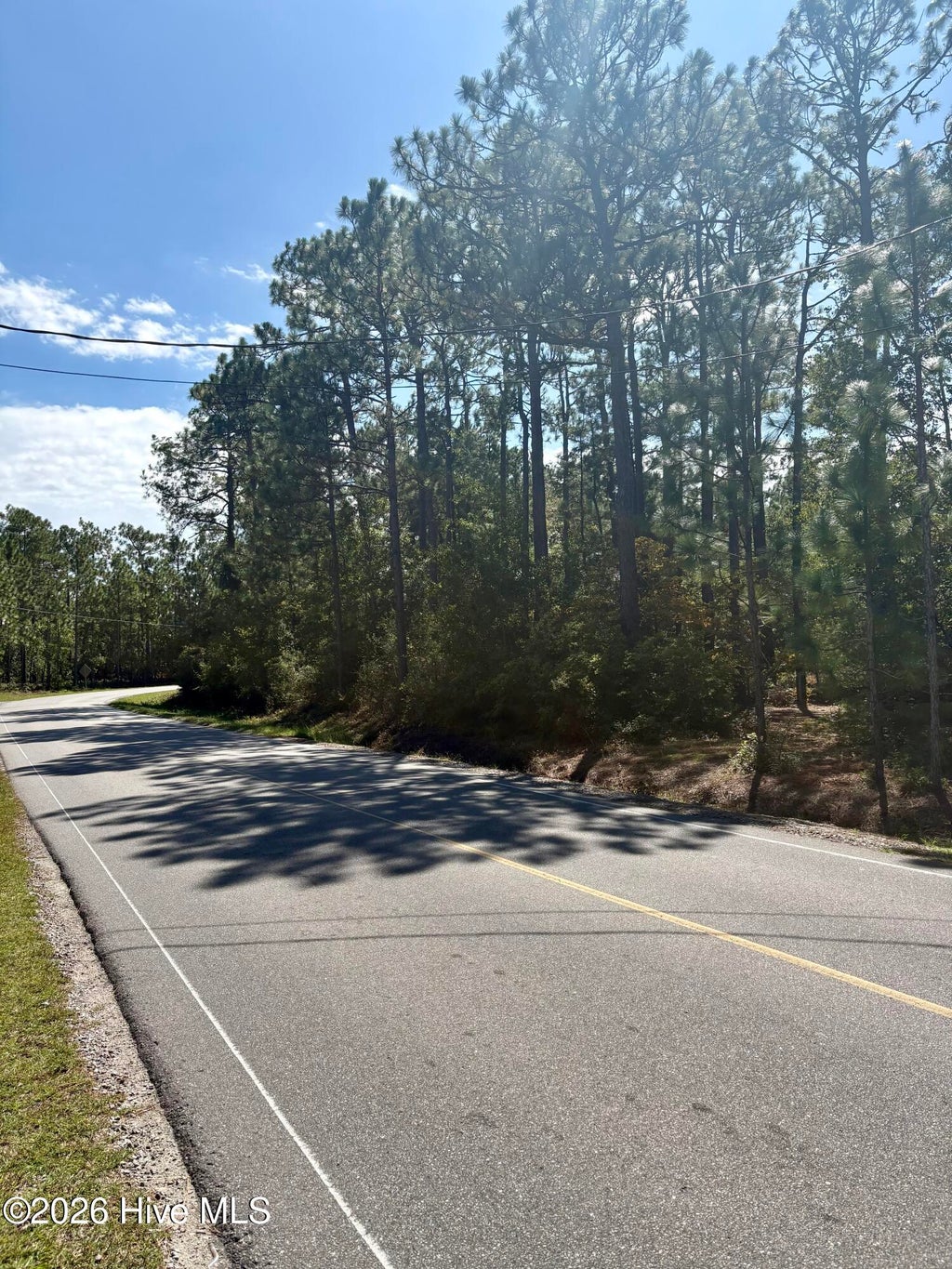 Photo of 8081 Nassau Road, Boiling Spring Lakes, NC 28461 (MLS # 100608936)