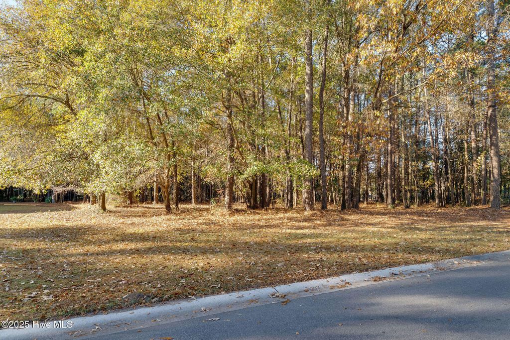 Photo of 266 Red Fox Run Drive, Wallace, NC 28466 (MLS # 100542931)