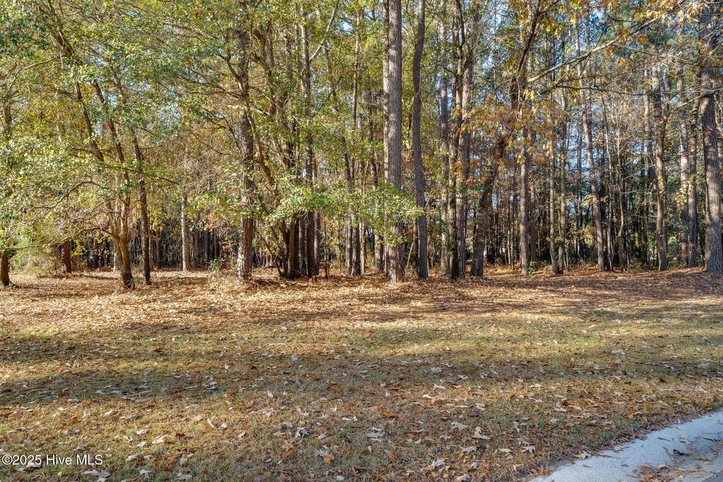 Photo of 266 Red Fox Run Drive, Wallace, NC 28466 (MLS # 100542931)