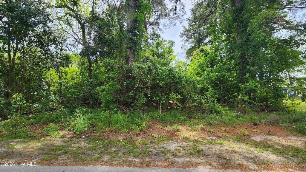 Photo of 1520 W Near 108 Jackson Street, Chadbourn, NC 28431 (MLS # 100565758)