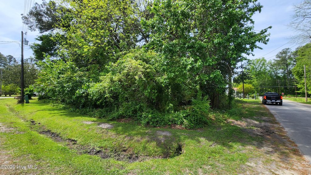 Photo of 1520 W Near 108 Jackson Street, Chadbourn, NC 28431 (MLS # 100565758)