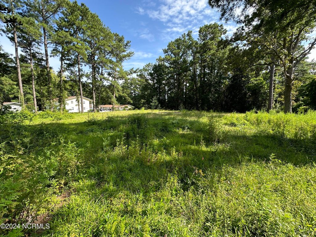 Photo of 94 Belltown Road, Havelock, NC 28532 (MLS # 100563136)