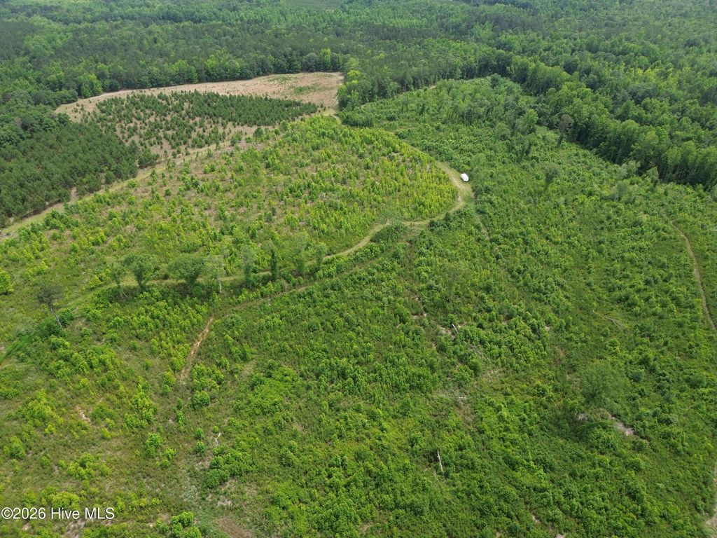 Photo of 0 Pughsley Road, Stapleton, GA 30823 (MLS # 100577373)
