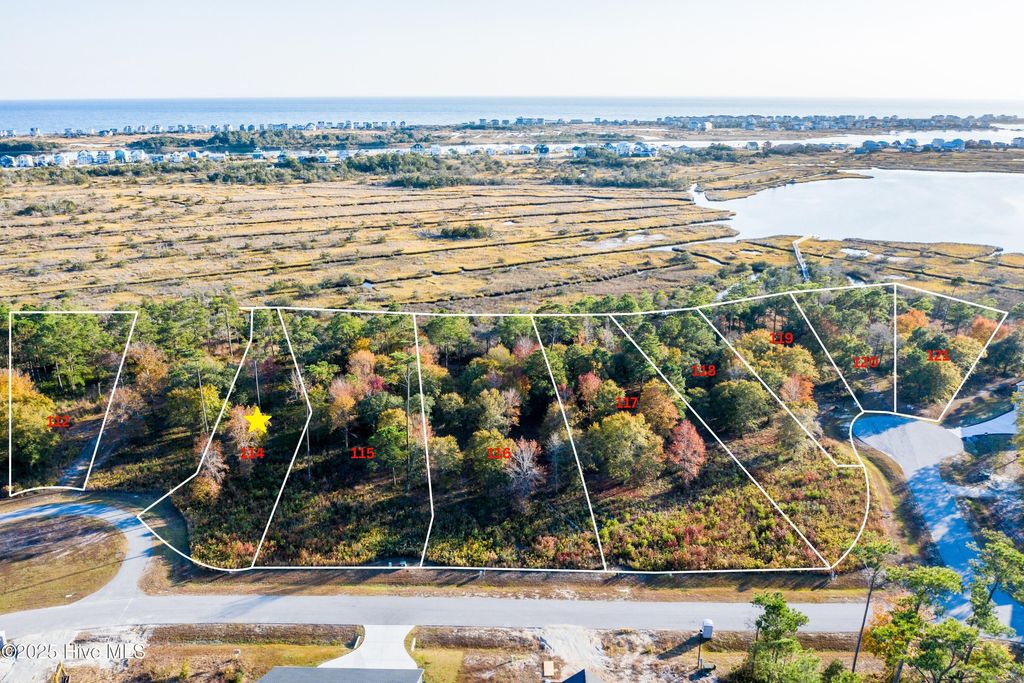 Photo of 333 Landon Lane, Sneads Ferry, NC 28460 (MLS # 100523728)