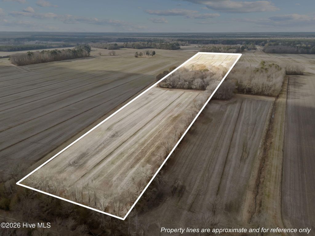 Photo of 0 Nc 32 Off, Plymouth, NC 27962 (MLS # 100550280)