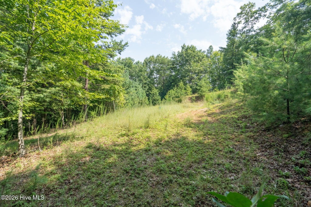 Photo of 26 Kalanu Trail, Murphy, NC 28906 (MLS # 100593778)