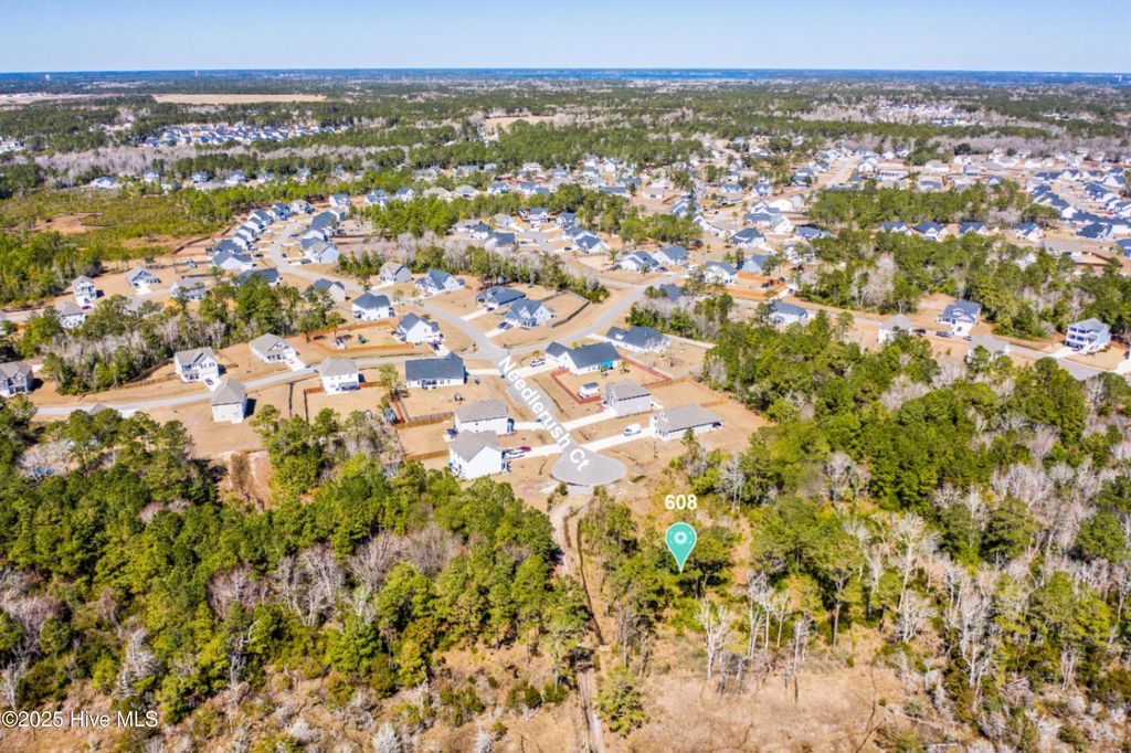 Photo of 608 Needlerush Court, Sneads Ferry, NC 28460 (MLS # 100523780)