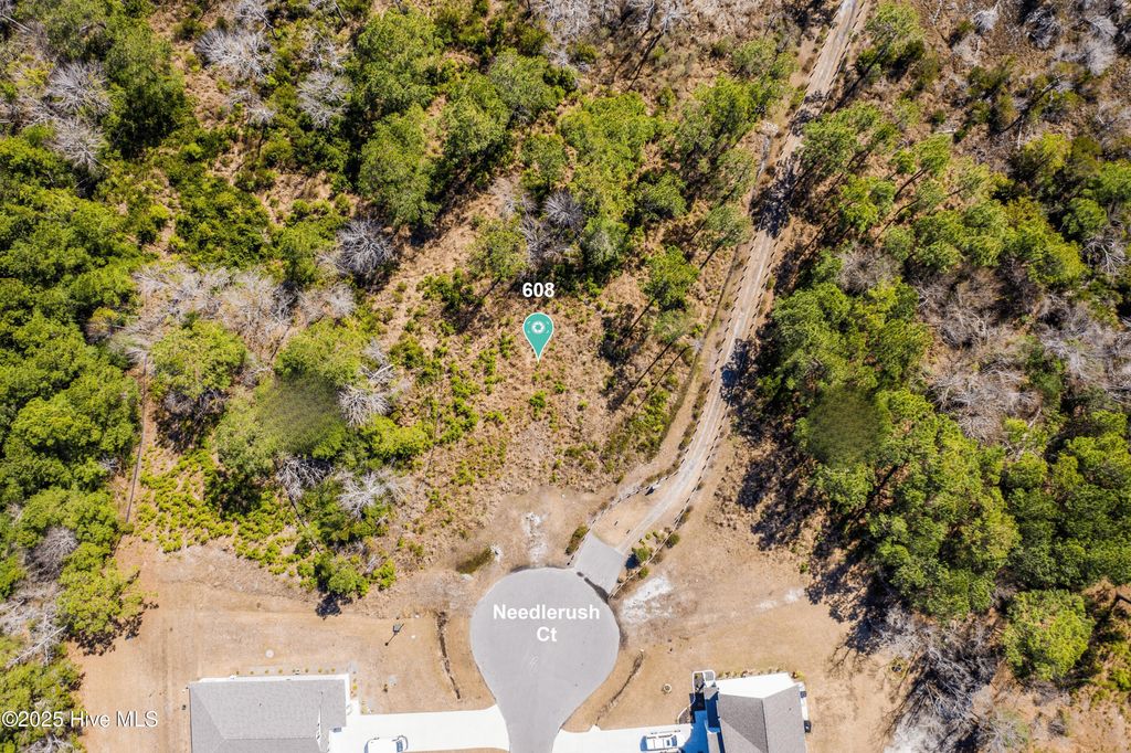 Photo of 608 Needlerush Court, Sneads Ferry, NC 28460 (MLS # 100523780)