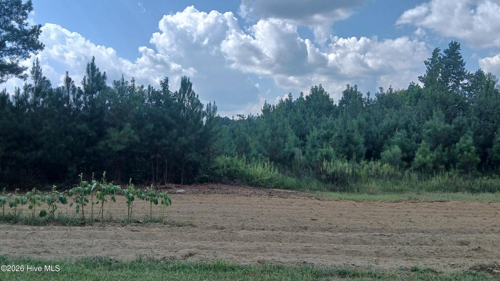 Photo of 2 Taylors Gin Rd, Castalia, NC 27816 (MLS # 100601532)