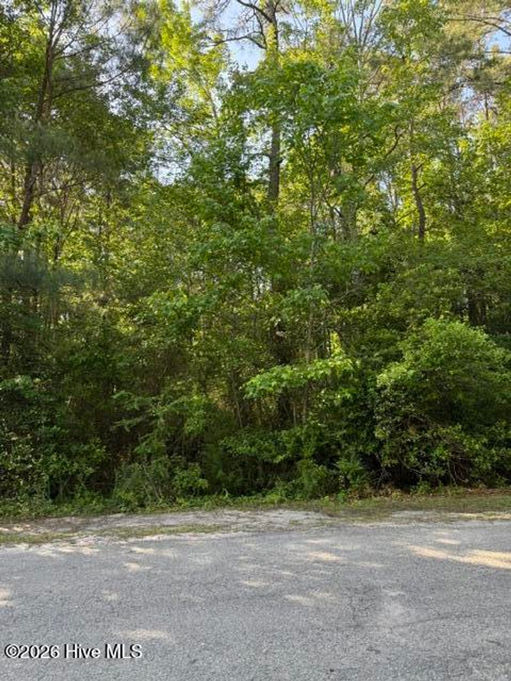 Photo of 103 Emerson Court, Hampstead, NC 28443 (MLS # 100573766)