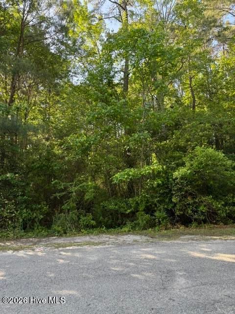 Tiny photo for 103 Emerson Court, Hampstead, NC 28443 (MLS # 100573766)