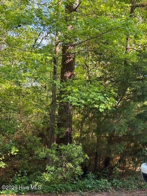 Photo of 103 Emerson Court, Hampstead, NC 28443 (MLS # 100573766)