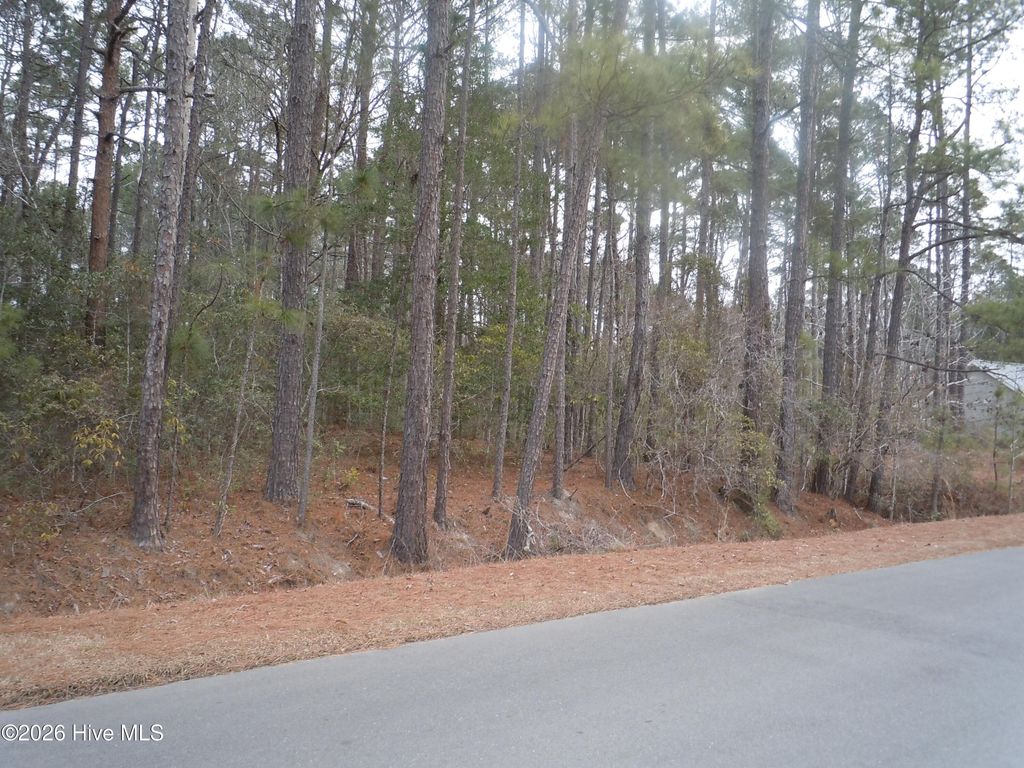 Photo of 520 Boundaryline Drive NW, Calabash, NC 28467 (MLS # 100553594)
