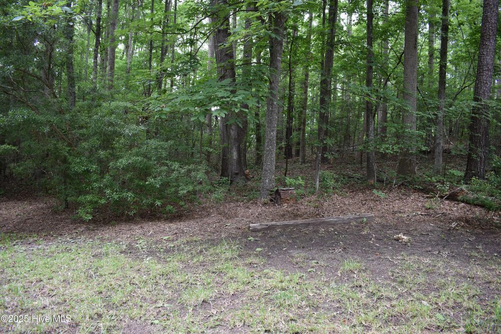 Photo of 6 River Road, Blounts Creek, NC 27814 (MLS # 100512257)