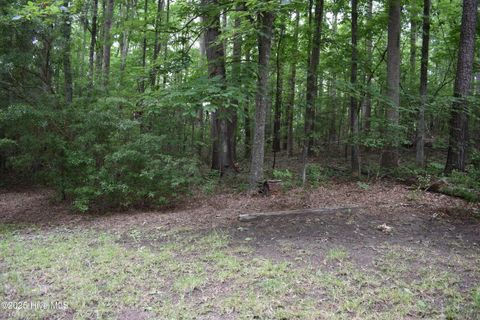 Lot 6 River Road Blounts Creek NC 27814