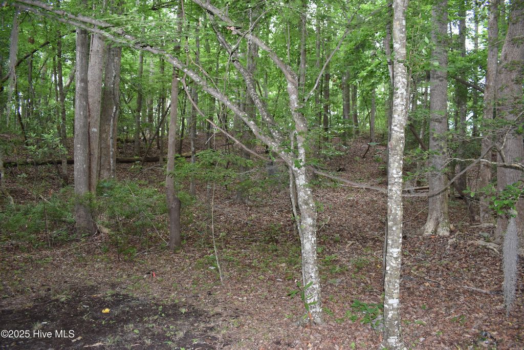 Photo of 6 River Road, Blounts Creek, NC 27814 (MLS # 100512257)
