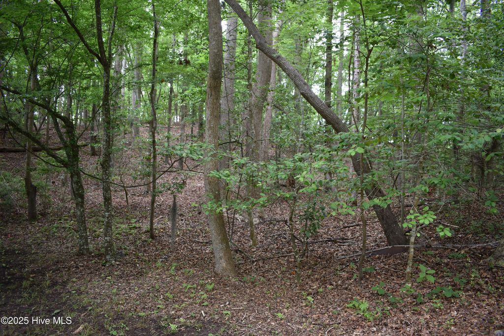 Photo of 6 River Road, Blounts Creek, NC 27814 (MLS # 100512257)