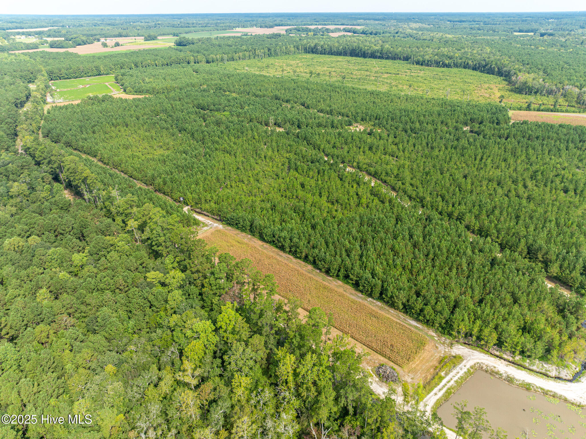 000 Butler Town Road