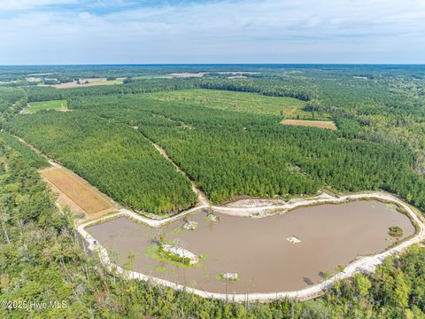 Vacant Land For Sale - 000 Butler Town Road<br/> Clarendon, NC 28432