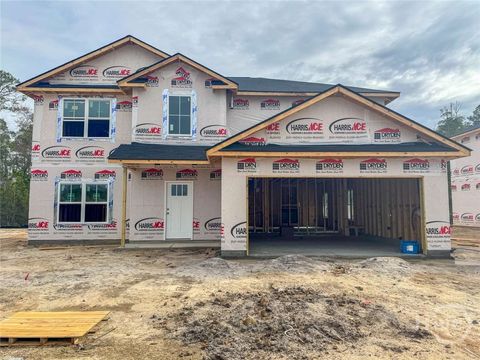 Homes For Sale - 55 Medler Court<br/> Long County, Ludowici, GA 31316