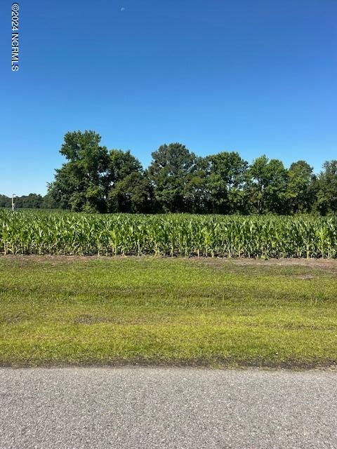 Vacant Land For Sale - 2 Harper Landing Drive<br/> Lenoir County, Pink Hill, NC 28572