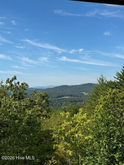 Photo of 430 Heritage Trail, Brasstown, NC 28902 (MLS # 100607786)
