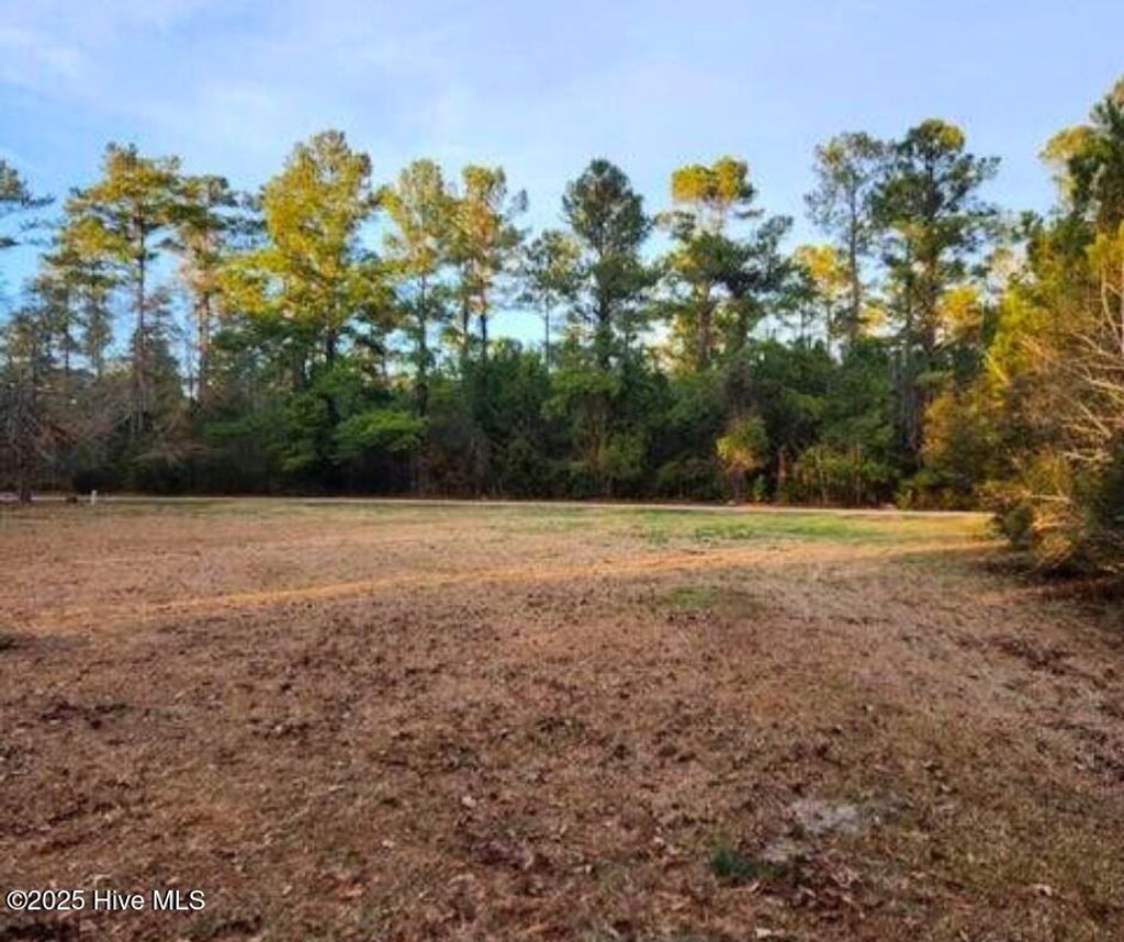 Photo of 200 Hickory Street, Oriental, NC 28571 (MLS # 100491359)