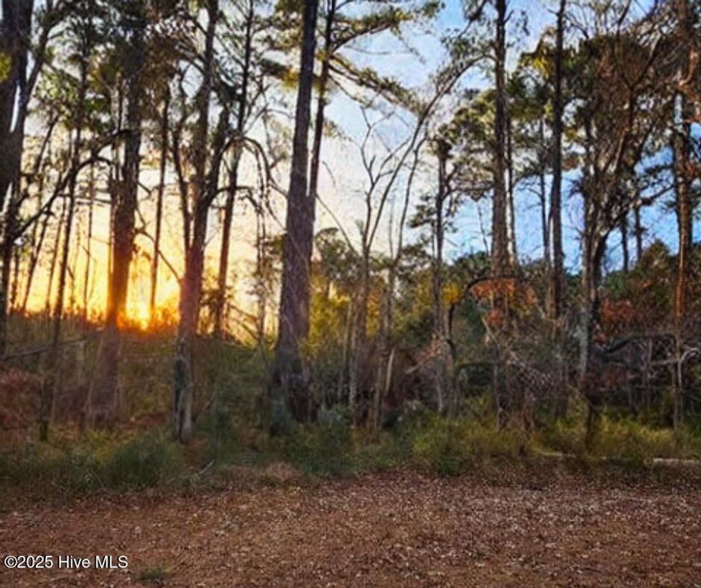 Photo of 200 Hickory Street, Oriental, NC 28571 (MLS # 100491359)