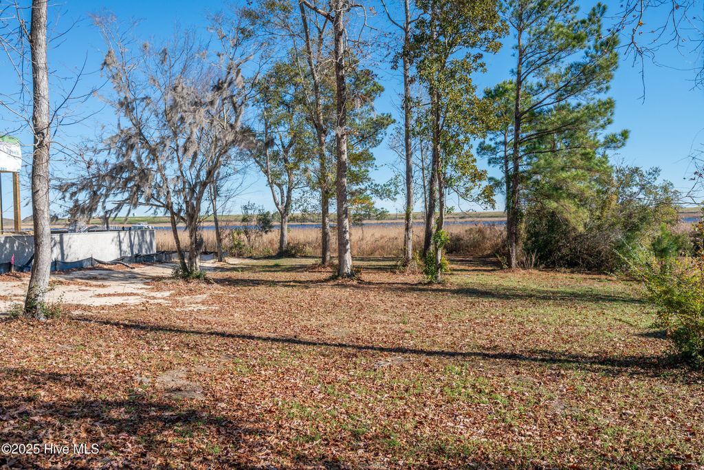 Photo of 1045 Club Court, Leland, NC 28451 (MLS # 100546678)