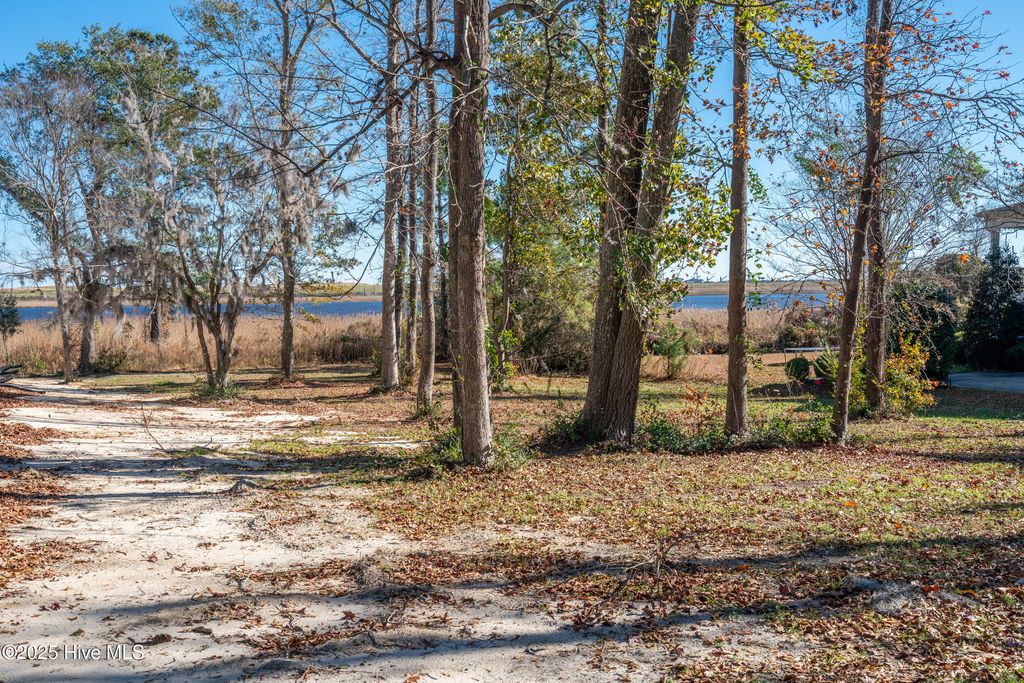 Photo of 1045 Club Court, Leland, NC 28451 (MLS # 100546678)