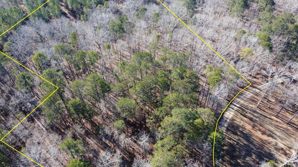 Photo of 0 Forest Lake Drive, Lincolnton, GA 30817 (MLS # 551011)