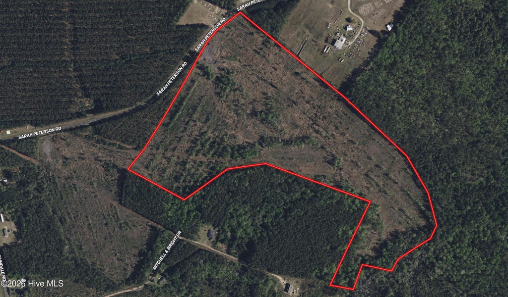 Photo of Tbd Sarah Peterson Road, Council, NC 28434 (MLS # 100600650)