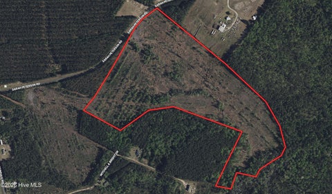 Vacant Land For Sale - TBD Sarah Peterson Road<br/> Bladen County, Council, NC 28434