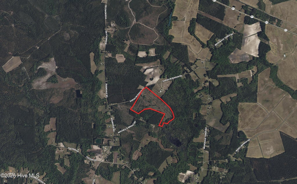 Photo of Tbd Sarah Peterson Road, Council, NC 28434 (MLS # 100600650)