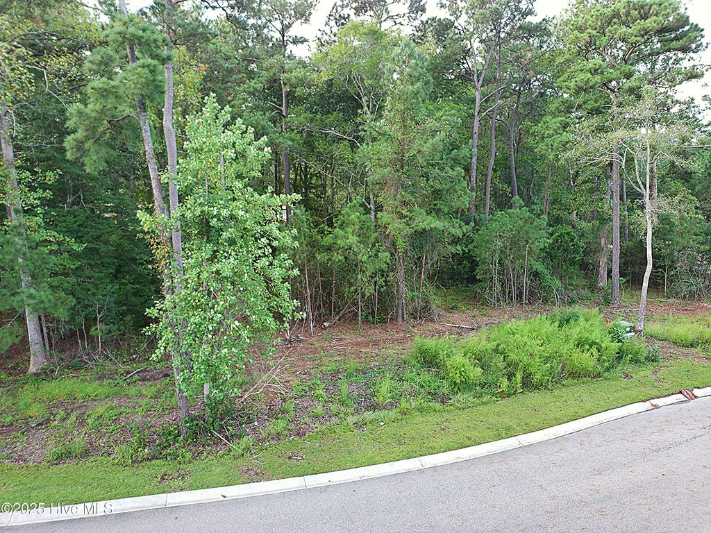 Photo of 6075 Ocean Isle Palms Way SW, Shallotte, NC 28470 (MLS # 100527839)