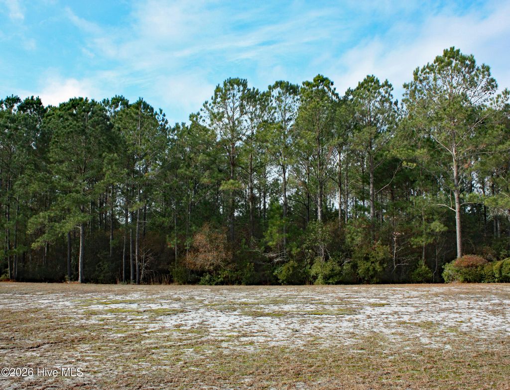 Photo of 6369 Blenhiem Place SW, Ocean Isle Beach, NC 28469 (MLS # 100552663)