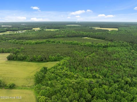 Tiny photo for Tbd Nc-50, Wallace, NC 28466 (MLS # 100546476)