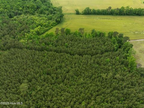 Tiny photo for Tbd Nc-50, Wallace, NC 28466 (MLS # 100546476)