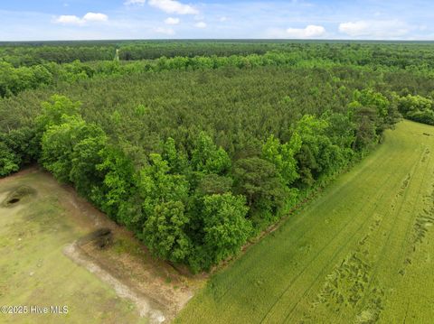 Tiny photo for Tbd Nc-50, Wallace, NC 28466 (MLS # 100546476)