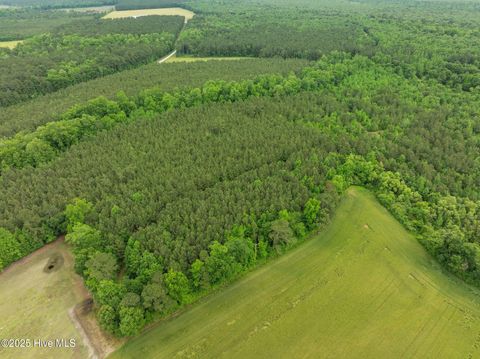 Tiny photo for Tbd Nc-50, Wallace, NC 28466 (MLS # 100546476)