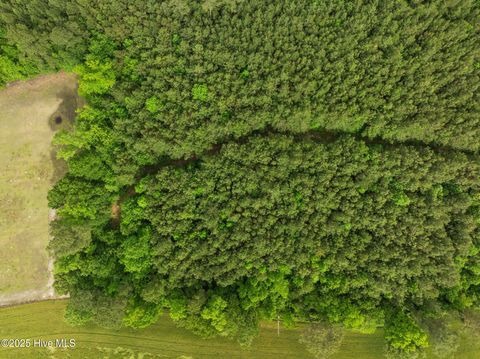 Tiny photo for Tbd Nc-50, Wallace, NC 28466 (MLS # 100546476)