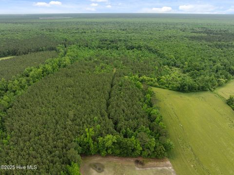 Tiny photo for Tbd Nc-50, Wallace, NC 28466 (MLS # 100546476)