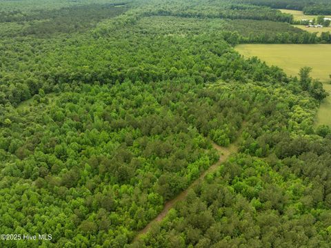 Tiny photo for Tbd Nc-50, Wallace, NC 28466 (MLS # 100546476)