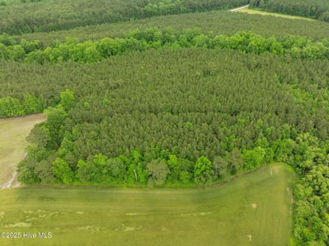 Tiny photo for Tbd Nc-50, Wallace, NC 28466 (MLS # 100546476)