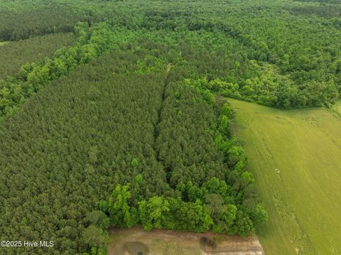 Tiny photo for Tbd Nc-50, Wallace, NC 28466 (MLS # 100546476)