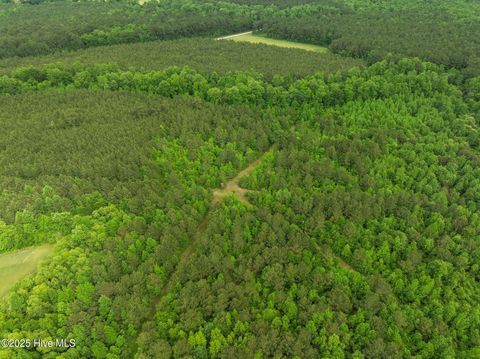 Tiny photo for Tbd Nc-50, Wallace, NC 28466 (MLS # 100546476)