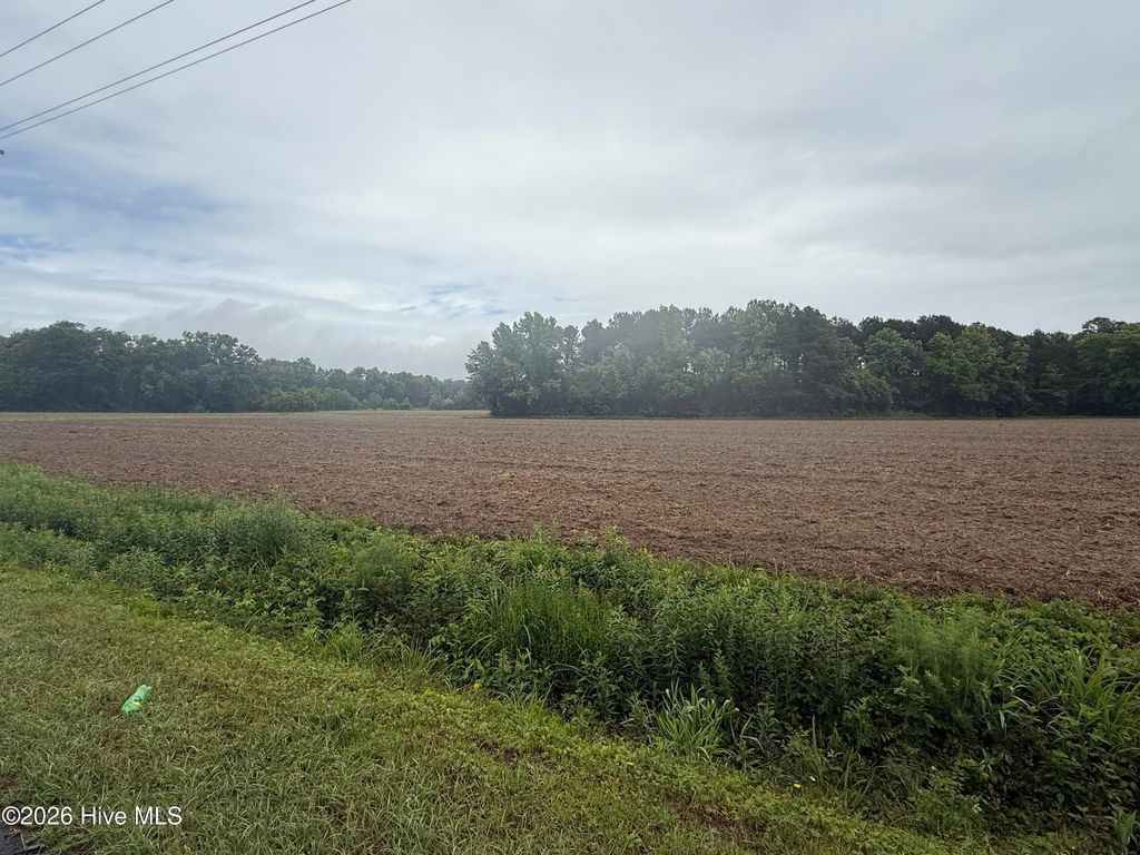 Photo of 1336 Owen Hill Road, Tar Heel, NC 28392 (MLS # 100572024)